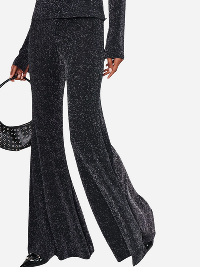 Person wearing a dark gray metallic outfit with wide-leg pants on a white background
