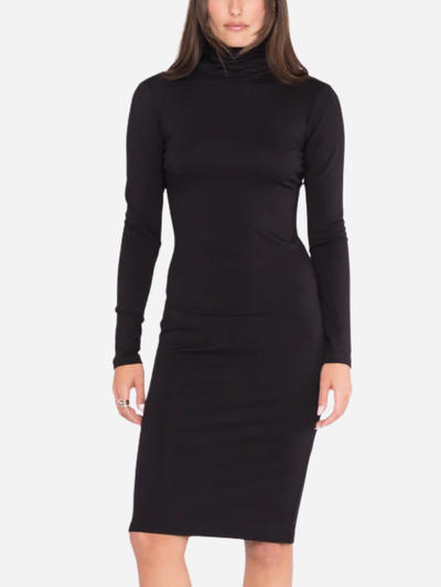 Black long-sleeve turtleneck dress worn by a person on a white background